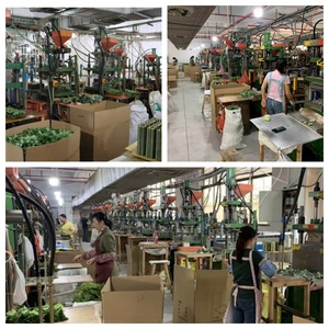 Nouvelle Collection 2026 – Décoration Végétale Artificielle en Eucalyptus et Feuilles <span class=keywords><strong>de</strong></span> Monnaie, Tige Unique, Vente Directe Usine, Plastique Renforcé avec Fil Métallique - Product Image 5