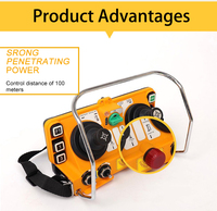 Grúa de elevación Industrial, mando a distancia inalámbrico, resistente al agua, con transmisor y receptor F24-60