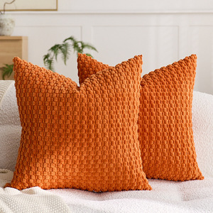 หมอนอิงตกแต่ง ปลอกหมอนอิงสำหรับโซฟา เก้าอี้ ห้องนอน ตกแต่งบ้าน - Product Image 4