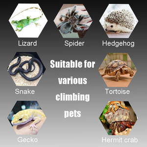 Caja <span class=keywords><strong>de</strong></span> cría <span class=keywords><strong>de</strong></span> mascotas <span class=keywords><strong>de</strong></span> escalada <span class=keywords><strong>de</strong></span> material <span class=keywords><strong>de</strong></span> PVC, jaula para mascotas adecuada para hámsteres, pollos Rutin, guardias <span class=keywords><strong>de</strong></span> <span class=keywords><strong>Palacio</strong></span>, etc. - Product Image 6