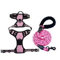 Laisse Classique Amovible pour Chiens de Grande et Moyenne Taille en Polyester avec Conception Poitrine-Dos, Cheveux Droits, 5m