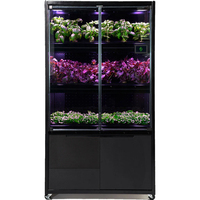 Système de jardinage intelligent hydroponique d'intérieur, écologique, pour usage domestique, pots artificiels à motif carré, plantation de légumes biologiques, arrosage