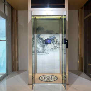 Yolcu için çekiş sürücü düşük maliyetli ucuz konut ev asansör asansörler - Product Image 2