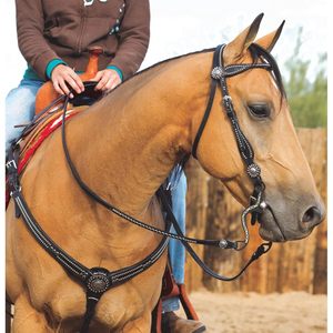 Cabezada de cuero Weaver con frontal negro, tamaño completo, accesorio de equitación para caballo (EE. UU.) - Product Image 2