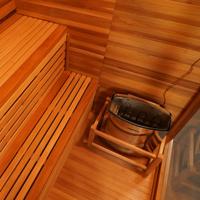 Sauna Uap Kubus Hemlock Hitam untuk 2-4 Orang, Ruangan Modern untuk Rumah, Hotel & Spa