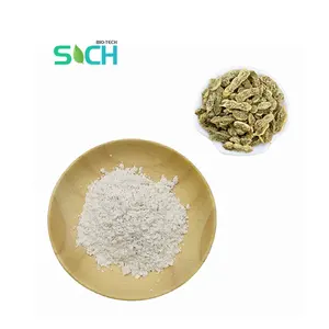 Manufacturer Supply Genistein Powder 446-72-0 Sophora Japonica Extract 98% Genistein