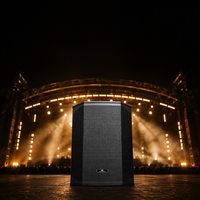 Promo Panas Loudspeaker Aktif Kayu 12 Inch 2 Way 130dB 2000W Kelas D DSP Bi Amp Bluetooth TWS untuk Pernikahan, Pertunjukan Jalanan, Pesta