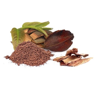 Extrait d'écorce d'Arjuna de qualité supérieure Ingrédient naturel à base de plantes provenant de l'arbre Terminalia Arjuna Idéal pour les boissons d'assaisonnement alimentaire - Product Image 1