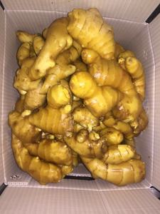 Gengibre jovem fresco 200g Jining rico fazendeiro venda quente na China 2025 novo - Product Image 5