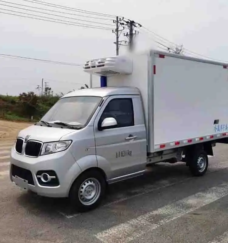 Presa di fabbrica SWM Shineray T3 camion refrigerato per camion refrigerato 4*2 Mini cargo furgoni frigorifero freezer auto