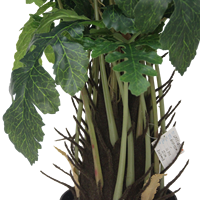 Senmasine-Fausse Plante Artificielle en Pot de 60cm à 21 Tête, Feuilles de Pastèque, Petite Plante Verte en Pot Noir, Décor de Jardin, Maison, Bureau