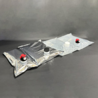 Sac à vin en plastique transparent en aluminium avec valve Vitop Fexitap, sac BIB en aluminium avec valve, 1L 2L 3L 4L 5L