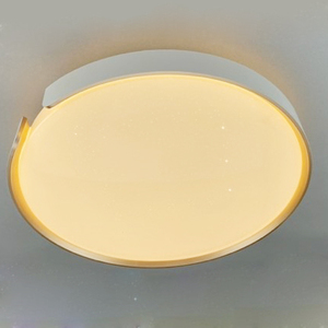 Nueva Base de acero inoxidable de montaje en superficie ERP con cubierta acrílica, accesorio de iluminación de techo LED redondo <span class=keywords><strong>para</strong></span> <span class=keywords><strong>interiores</strong></span> <span class=keywords><strong>para</strong></span> iluminación de dormitorio - Product Image 5