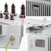 Transformador de Distribución Sumergido en Aceite de 10kV 80kVA de Bajo Ruido y Sellado Herméticamente para Uso Industrial, Ahorro de Energía