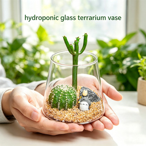 Ev Dekorasyonu Mikro Peyzaj Şeffaf <span class=keywords><strong>Volkan</strong></span> Yüksek Borosilikat Cam Teraryum Saksı Vazoları Masa İçin Modern Düğün Merkez Parçaları - Product Image 5
