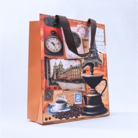 Borsa Regalo in Carta Personalizzata con Ricamo Colorato, Stampa a Quattro Colori, Materiali Riciclati Riutilizzabili, Manico in Nastro