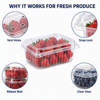 Conteneur alimentaire articulé en PET transparent recyclable, prix usine, 250 ml, 500 ml, pour boîte à salade de supermarché