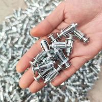 Baut Ekspansi Phillips Pan Head Jack Nut, Mur Rivet Bentuk Kelopak Berlapis Seng untuk Pengencangan Panel Lembaran Besi Tipis Berongga
