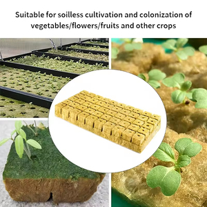 Thiết kế hiện đại của các nhà sản xuất bán buôn đá len vuông cây con miếng bọt biển khối cho soilless rau và trái cây phát triển - Product Image 6