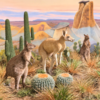 Statue de kangourou en fibre de verre, taille réelle, artisanale, sur mesure, pour décoration intérieure, thème parc animalier