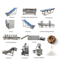 Fabrieksleverancier Konjac Poeder Verwerkingslijn Automatische Konjac Droogapparatuur Automatische Porang Konjac Chips Droogmachine