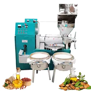 Hot sale 6yl-100 oil press olive oil extractor machine cold press heat press machine for extracting oil