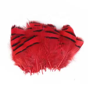 Plumes de faisan rouge en vrac diverses couleurs plume naturelle artisanat vêtements couture décoration