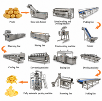 Commerciële friteuse voor de productie van aardappelchips, frieten en gebakken snacks