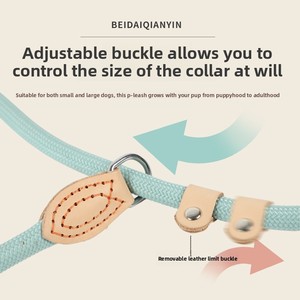 Guinzaglio per Addestramento Cani, Resistente alle Esplosioni, Corda e Catena in PP Rinforzato, Stile Classico - Product Image 3