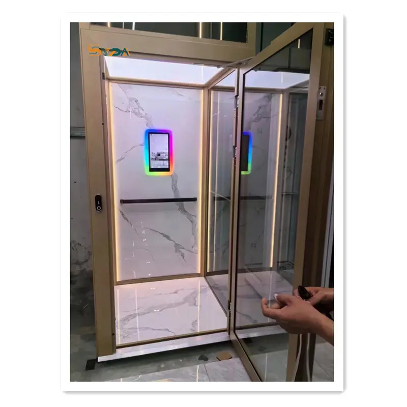 インテリジェントテクノロジープラットフォームはしごリフト住宅住宅ヴィラ小さな家乗客ガラススタイルミニリフトとエレベーター