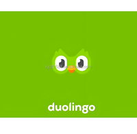 Compte Premium Duolingo Pro 1 an, compatible avec Mac/Linux, graphismes multimédias en ligne, activation mondiale