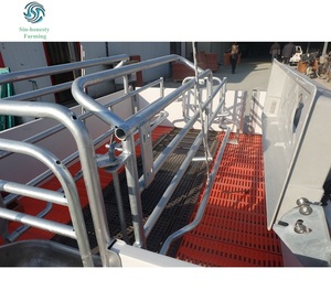 <span class=keywords><strong>Jaula</strong></span> de gestación para cerdo, <span class=keywords><strong>jaula</strong></span> de animales, gran oferta - Product Image 1