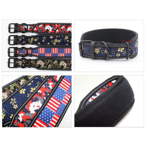 Luxury Modern Anti-Explosion <strong>Dog</strong> Leash Shiny Rhinestone Pet <strong>Collar</strong> Personalized Nylon Accessory With Neck Ropes - Product Image 4