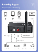 BT 5.0 alıcı U Disk dijital Analog ses dönüştürücü Spdif Fiber optik için 3.5MM AUX 2 RCA araç kiti amplifikatör hoparlör