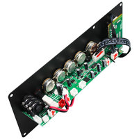 Módulo Amplificador de Altavoz Activo con Carro, Placa Decodificadora de Audio para Altavoz Autoamplificado