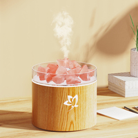 Diffuseur d'arômes USB 160 ml, humidificateur compact à brume froide avec aromathérapie pour la maison, le bureau et les voyages