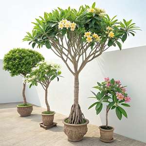 Arbre <span class=keywords><strong>Plumeria</strong></span> Artificiel Décoratif avec Pot Arbre Artificiel Tropical Plantes de Décoration de Mariage - Product Image 5