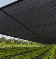 Filet d'ombrage tricoté noir avec œillets métalliques, bord renforcé, toile d'ombrage pour serre, maille de jardin pour plantes