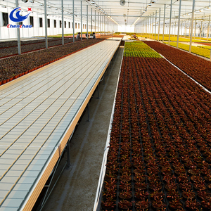 Mạ kẽm di động EBB và dòng chảy băng ghế dự bị nhà kính cây giống hệ thống 4 'x 8'mobile thủy triều seedbed - Product Image 6
