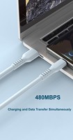 480Mbps 100W PD Silicone USB C à Type C câble rapide haute qualité PD chargeur données cordon 20V 5A ligne de charge Support OEM