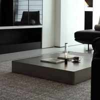 Table basse de style vintage minimaliste en acier inoxydable durable, table d'appoint moderne de luxe pour salon