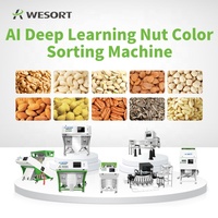 WESORT Fabricante 6SXZ-68LGB Maquinaria de procesamiento de frutos secos de acero inoxidable Clasificador de color de avellanas