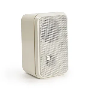 Haut-parleur d'activation ABS blanc IP POE Box avec microphone sans fil 2.4G et BT pour salle de classe