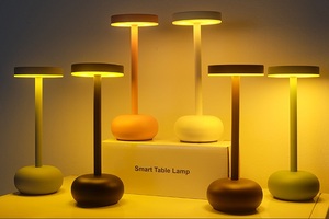 Led có thể sạc lại kim loại đèn cạnh giường ngủ cao cấp bầu không khí ánh sáng ban đêm thanh và nhà hàng ngoài trời trang trí đèn bàn - Product Image 2