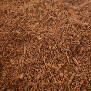 Turba de Coco 30x30x12cm 5kg Humedad Máxima 15% PH 5.5-6.5 Marrón Natural - Product Image 1