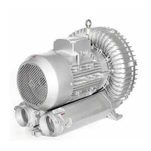 220v 50 High Pressure Stainless Steel Industrial Blower Fan Air Pump Vortex Ventilation Blower 50hz