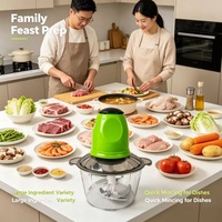 Hachoir Électrique de Cuisine avec Bol Transparent, Mini Broyeur Multifonctionnel pour la Préparation de Viandes et de Légumes