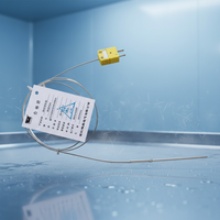Sonde de température à thermocouple de type K SHENWEI, contrôleur, acier inoxydable, IP68, longueur de sonde 20-2000 mm, port série, 0,1°C, OEM