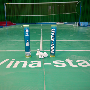 Volantes de bádminton de plumas de pato para entrenamiento a granel, duraderos para práctica, proveedor a precio económico - Product Image 5