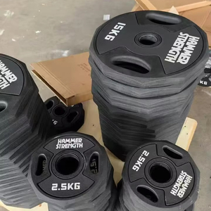 Plaques De Poids En Fonte 10 Lb – Lot Pour Haltères – Musculation Et Fitness à Domicile